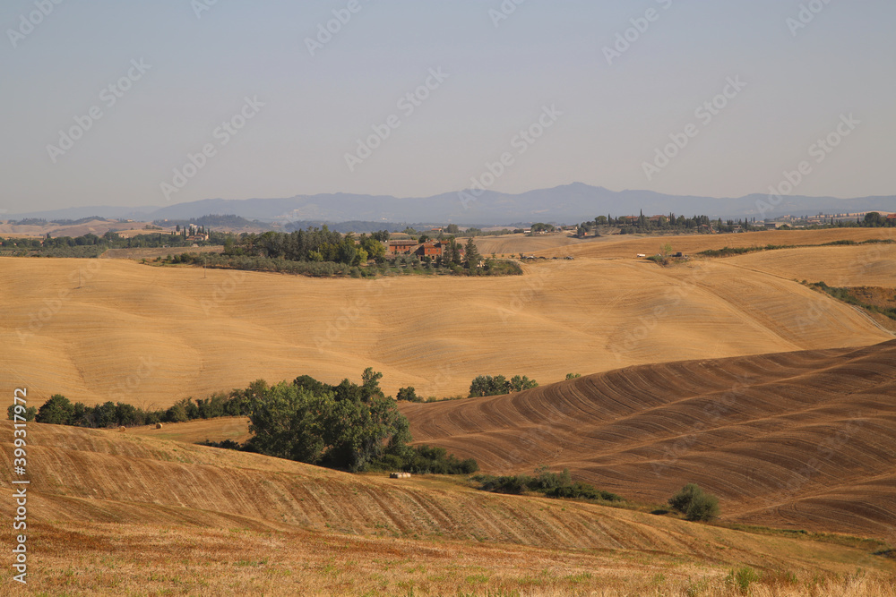 Obraz premium View of the Tuscan Countryside in Summer, Italy