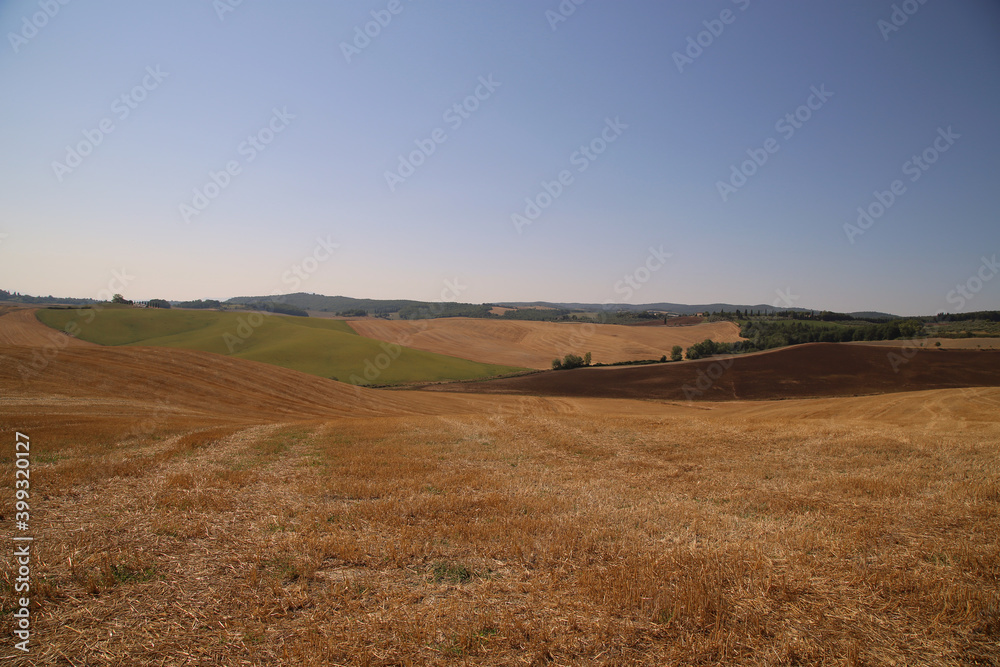View of the Tuscan Countryside in Summer, Italy