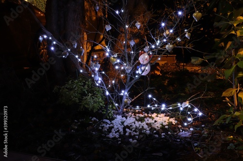 Arbre d  cor   et illumin   pour No  l dans la nuit