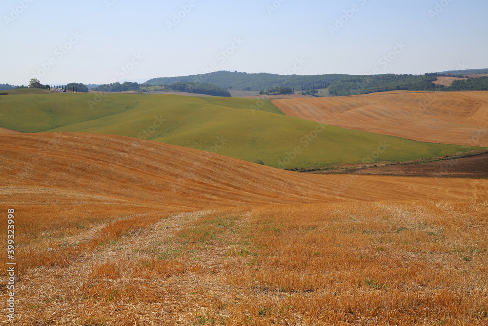 View of the Tuscan Countryside in Summer, Italy