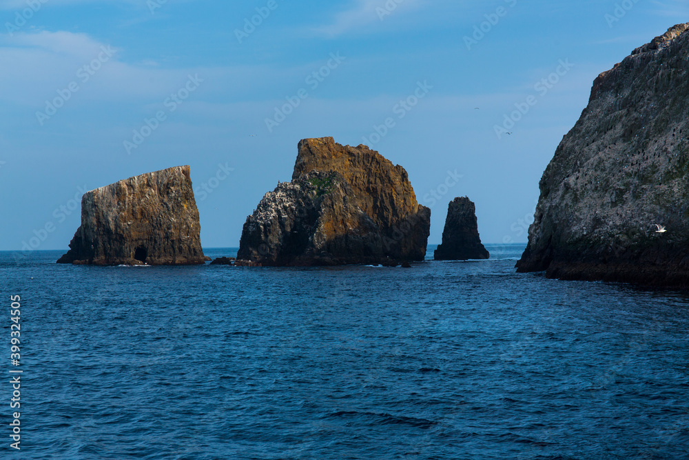 Anacapa Island, Channel Islands National Park, California, Usa, America