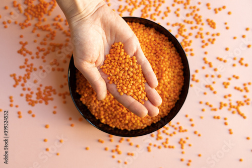 holding hand lentil. a plate of red lentil. black plate on light pink textured background. close up photo.  scattered lentil. dry legume and seeds.