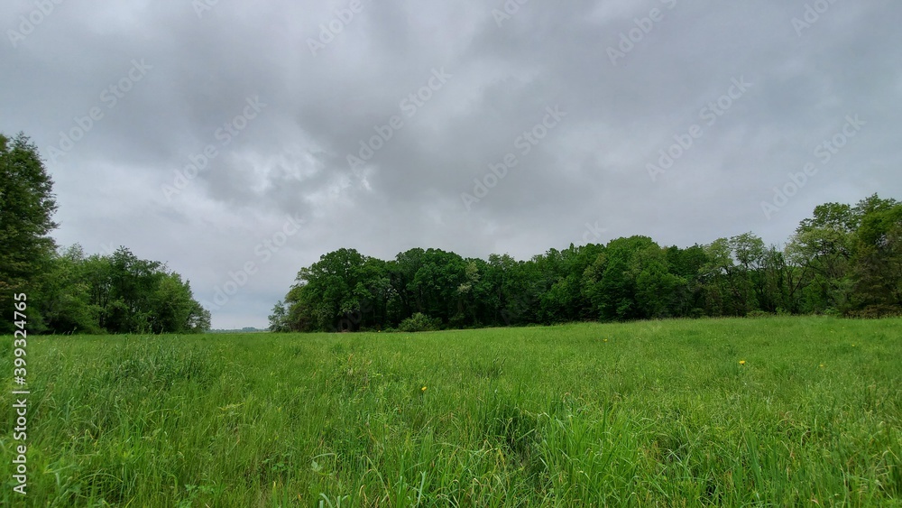 field and blue sky