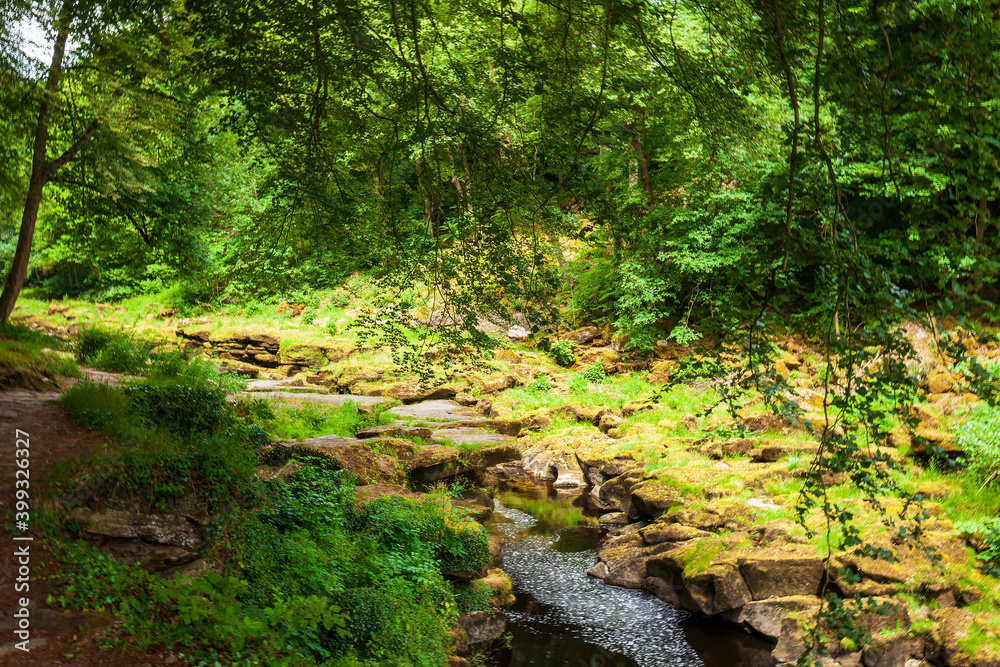 River in the forest. Yorkshire, Great Britain. River in the forest. Yorkshire, Great Britain.