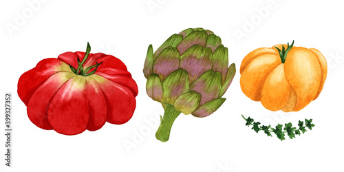 Watercolor vegetables set isolated elements tomato artichoke thyme on white background
