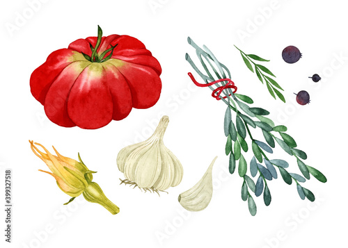 Italian vegetables set  isolated watercolor elements tomato garlic zucchini flower rosemary black pepper on white background 
