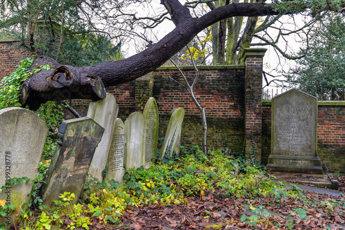 Highgate Cemetery West - London photo