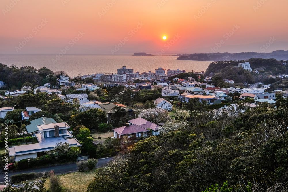 披露山公園からの夜景 披露山公園からの夜景