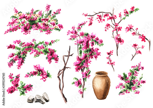 Murais de parede Bougainvillea flower, decorative elements set, Hand drawn watercolor illustratio