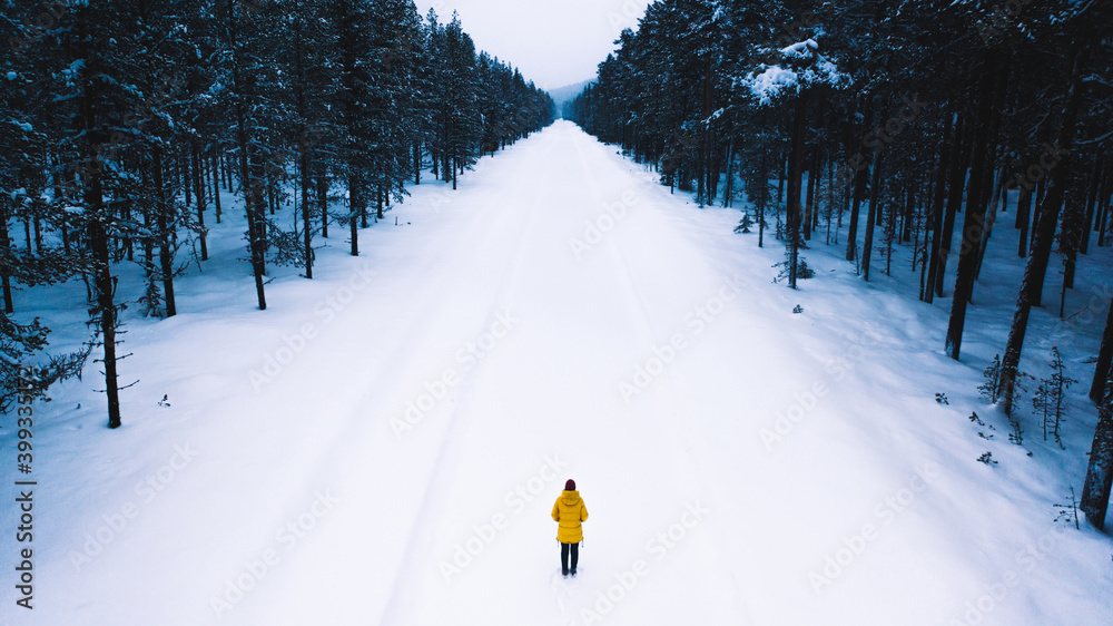 Bird's eye view, female tourist in yellow warm jacket enjoying winter in north country while running on snowy road surrounded by coniferous forest. Wanderlust in journey, freedom in life, having fun - obrazy, fototapety, plakaty 