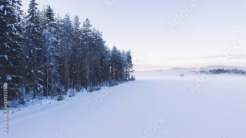 Breathtaking bird's eye view of valley covered with fog before sunrise time in winter. Aerial view of picturesque tranquility of nature, coniferous forest pines in snow