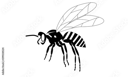 Wasp icon. lack silhouette of an insect on a white background. © Александр Курыгин