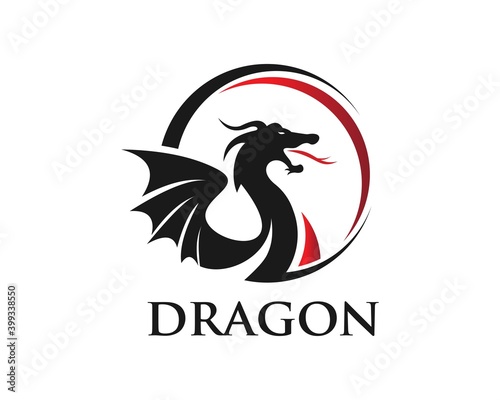 dragon head logo, vector icon illustration