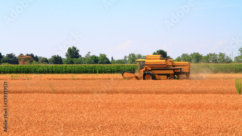campo agricolo d'estate a cusago, agriculture field in the summer in cusago photo