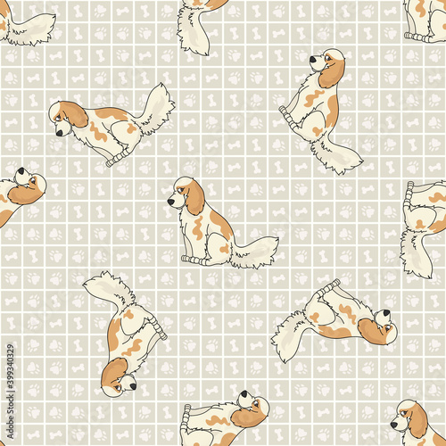 Cute cartoon cocker spaniel sitting vector clipart. Pedigree kennel dog breed for obedience training. Purebred domestic puppy for dog show illustration mascot. Isolated canine English hunting breed. 