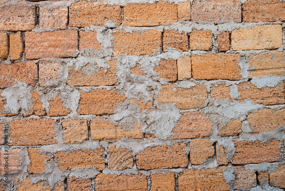 Fototapeta premium Shell rock wall as background. Texture is made of shells brick