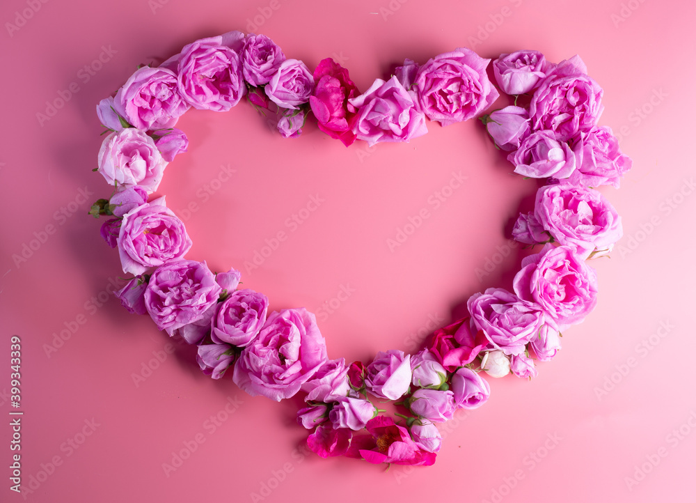 heart from may roses against pink background. romantic and beauty concept