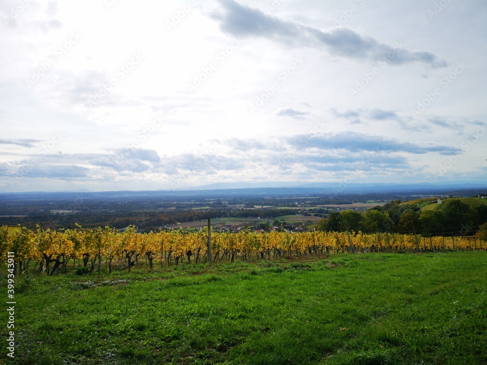 Fototapeta premium Weinberge der Südoststeiermark im Herbst - Klöch