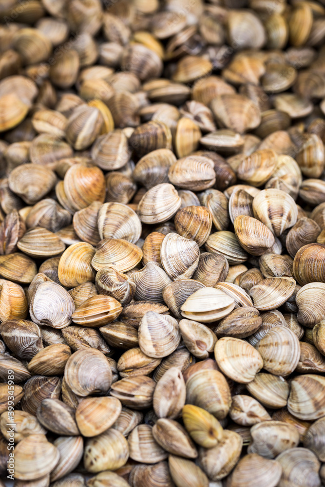 Pile o common cockle or berberecho clams (Cerastoderma edule) for sale in indoor food market, in the Spanish city of Malaga. 