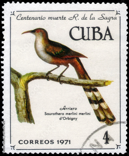 Postage stamp issued in the Cuba with the image of the Cuban Lizard-cuckoo, Coccyzus merlini. From the series on 100th anniversary of death of R. de La Sagra,  1971 photo