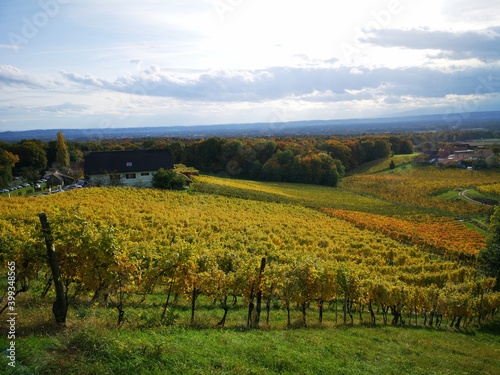 Südoststeiermark, Weststeiermark und südsteiermark Weinstraße im Herbst