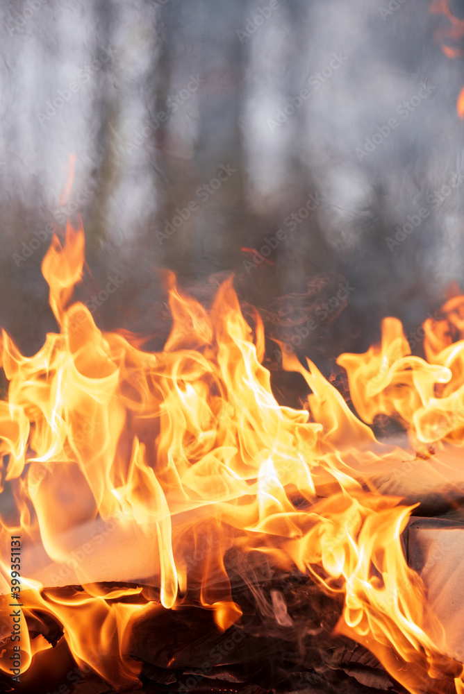 Fototapeta premium Fire flames, burning pile of cardboard and waste paper