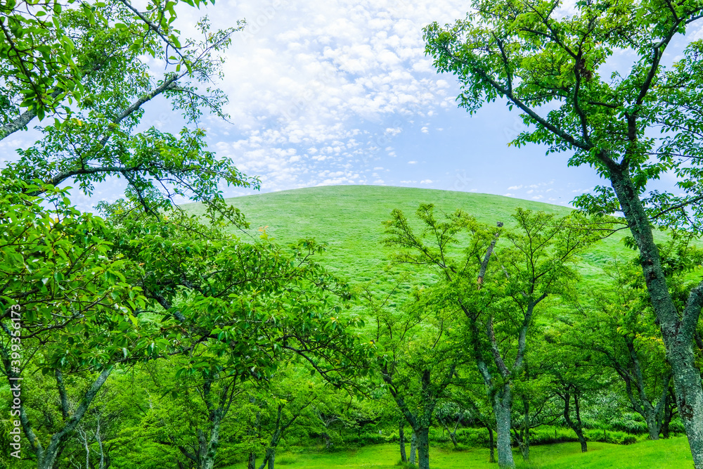 Obraz premium 静岡県伊東市の大室山