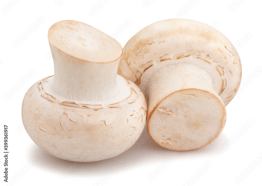 mushroom path isolated on white mushroom path isolated on white