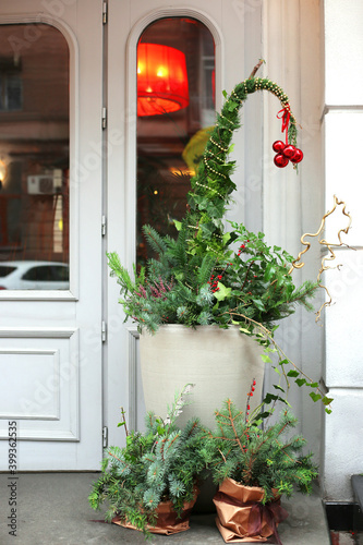 Potted fir tree near the entrance door to the house. Christmas outdoor house decorations © Oksana