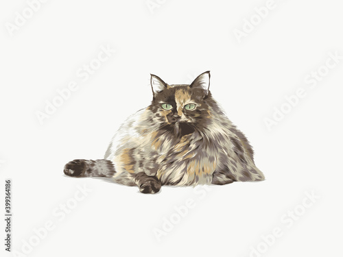 long haired tortoiseshell cat cranky kitty vector detailed illustration fluffy puffy fat animal purring lazy funny digital drawing