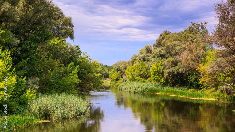 A view of the river with wooded banks, summer natural landscape of a river with overgrown banks