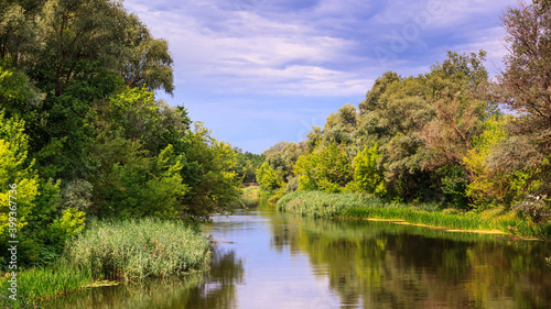A view of the river with wooded banks  summer natural landscape of a river with overgrown banks