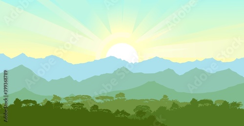 Deciduous forest. Silhouette. Mature, spreading trees. Thick thickets. Hills overgrown with plants. On the horizon there are mountains and ebo with the sunrise. Morning. Vector