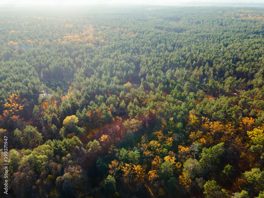 Aerial view of the autumn forest near the river in the afternoon