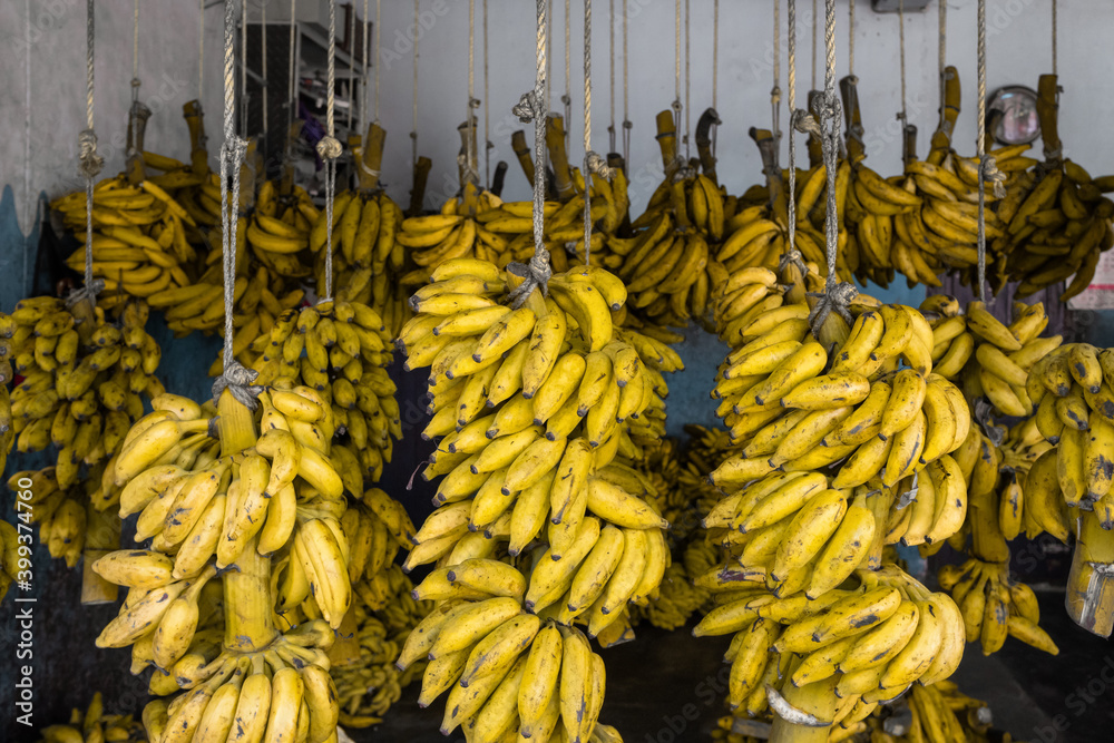 Variety of bananas in banana shop in Kerala, India Stock Photo Adobe