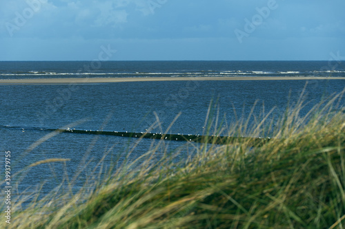 Blick durch das Baltrumer Dünengrass auf die Nordsee © Stephan B. Schäfer