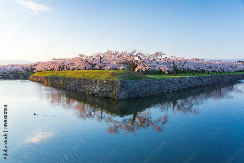 朝の五稜郭公園と満開の桜
