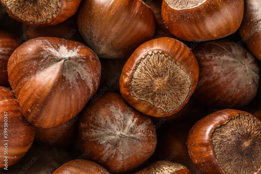Macro photo Hazelnut nuts. Photo nature food Hazelnut nuts in shell.Turkish hazelnuts. organic natural food. nuts vertical framing. food photos Macro photo Hazelnut nuts. Photo nature food Hazelnut nuts in shell.Turkish hazelnuts. organic natural food. nuts vertical framing. food photos