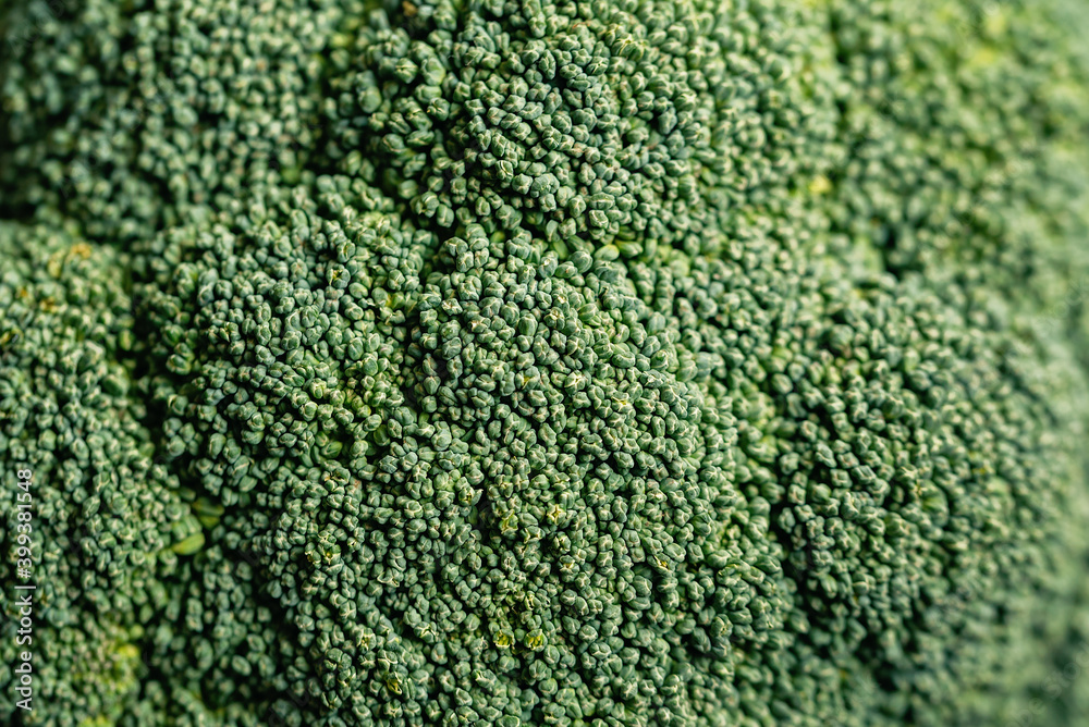 Closeup macro shot of broccoli cabbage. Green healthy background with vegetable broccoli texture. Healthy fresh food background. concept of wholesome food, veganism.