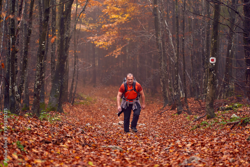 Hiking into the foggy forest