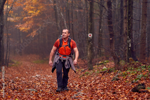 Hiking into the foggy forest