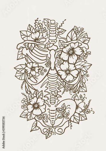 Human skeleton floral ribs poster pelvis bones torso human anatomy