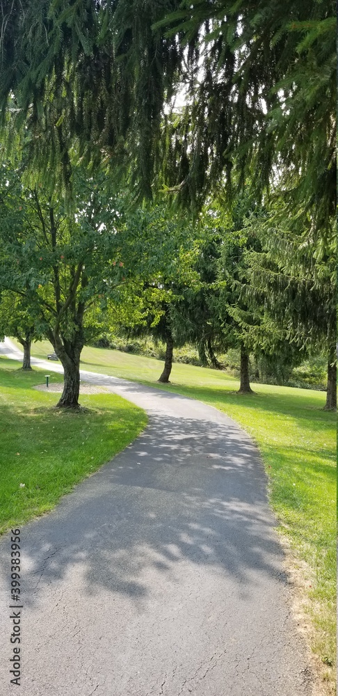 walking path in the park