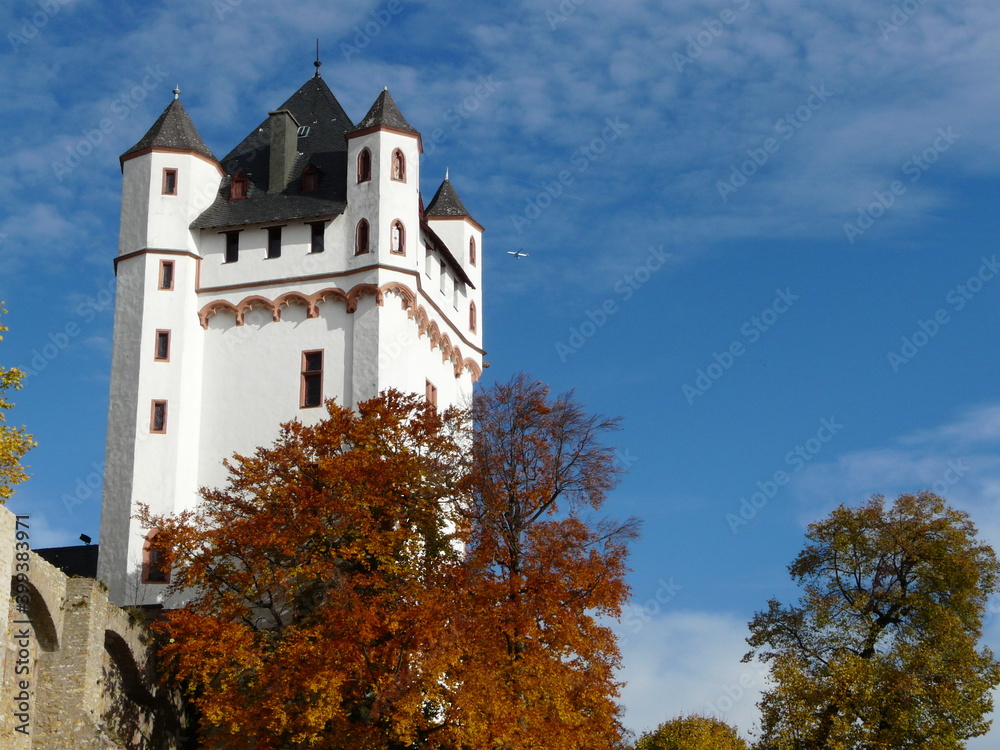 Kurfürstliche Burg mit herbstlichen Bäumen in Eltville am Rhein