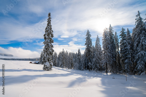 Winterlandschaft auf der Teichalm in der Steiermark