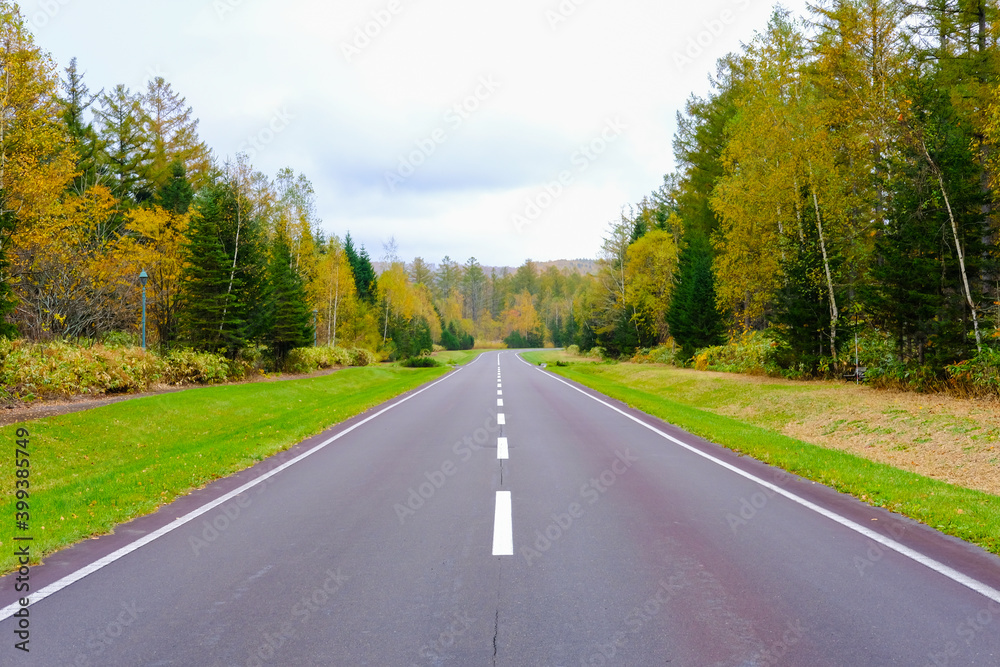 北海道美瑛の綺麗な道