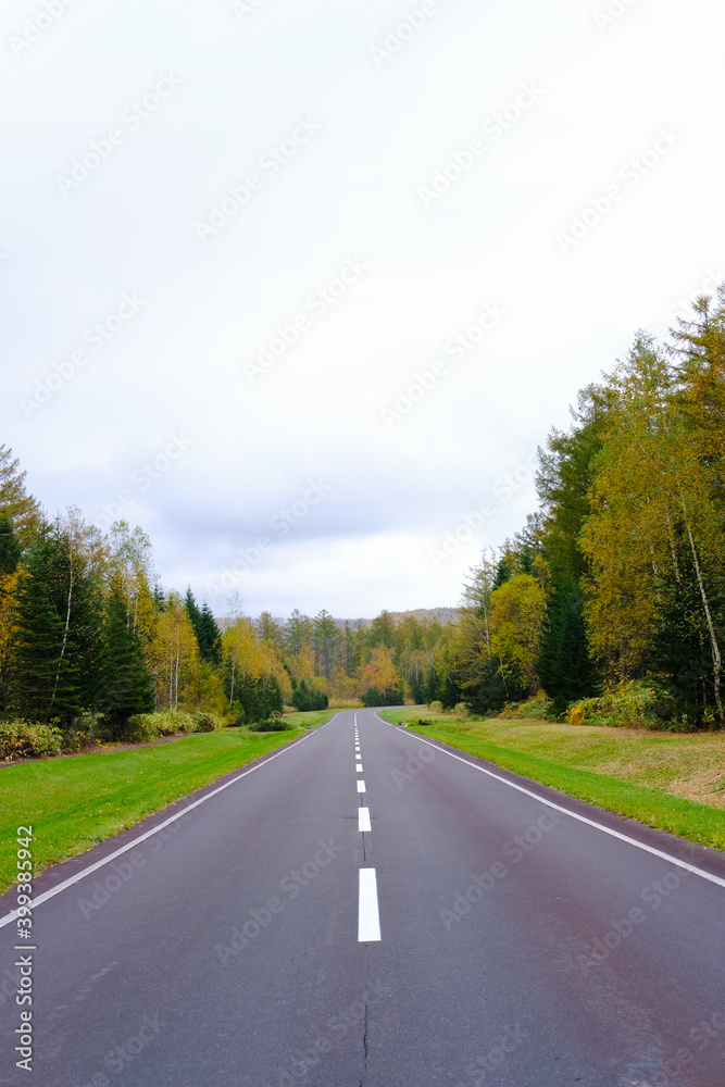 北海道美瑛の綺麗な道 北海道美瑛の綺麗な道