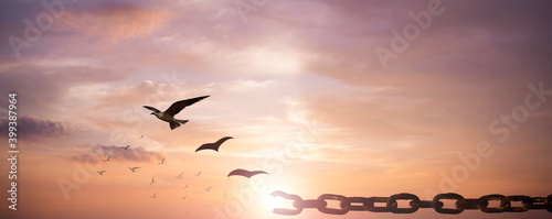 Stampa su tela Freedom concept: Silhouette of bird flying and broken chains at sky sunset backg