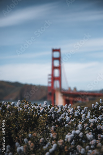 golden gate bridge city