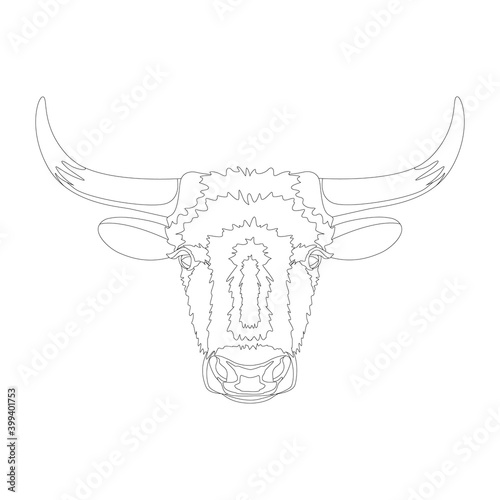 Bull head doodle with black nose on white background.Vector illustration. Sketch for tattoo or coloring book. Animal collection. Outline drawing. Yak